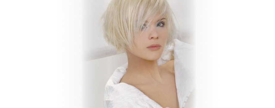 Kozmetika / Produkty Oyster / Blond vlasy silver rada